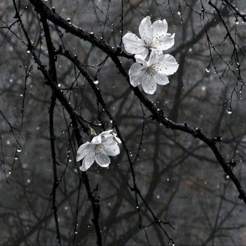  کره ای دخترای خوشگل و جذاب رو دوست دارم